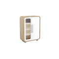 Modern Wooden Storage Cabinet with Glass Doors and Shelves